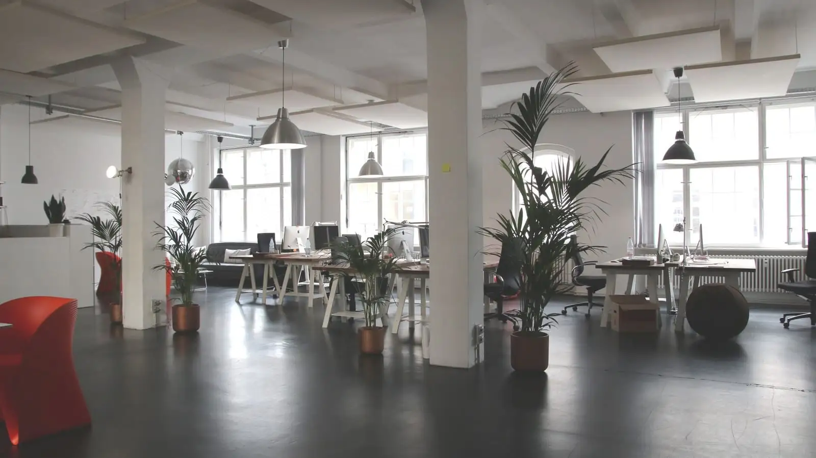Spazio di lavoro luminoso, con piante e grandi vetrate